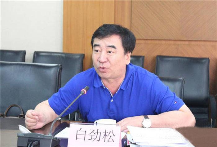 央视主持人白岩松怎么了（江苏女婿白岩松资料介绍）