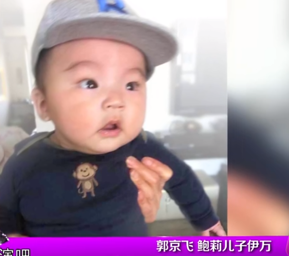 鲍蕾鲍莉是什么关系（鲍莉鲍蕾郭京飞的三人关系）