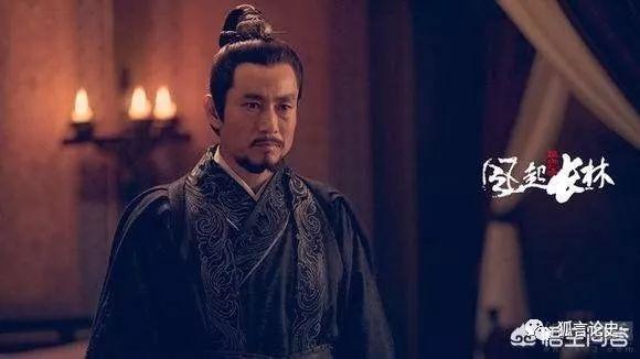 风起长林说的是哪个朝代（琅琊榜之风起长林故事背景）