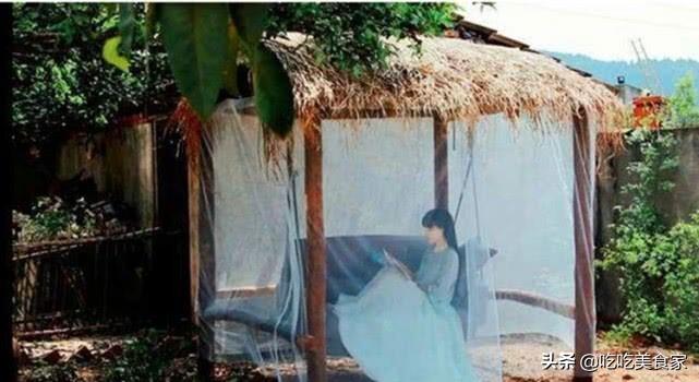 李子柒那样的农家小院怎么设计（李子柒家的房子全景曝光）