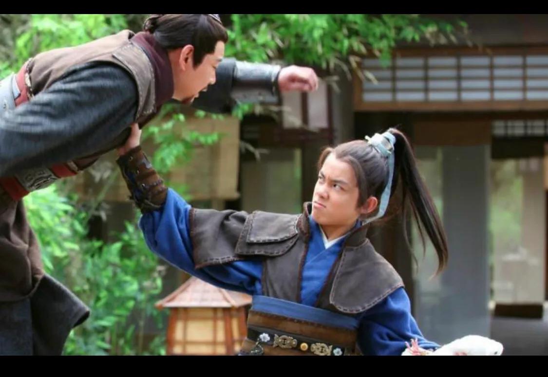 琅琊榜的飞流为什么会叛变（原著琅琊榜的飞流结局）