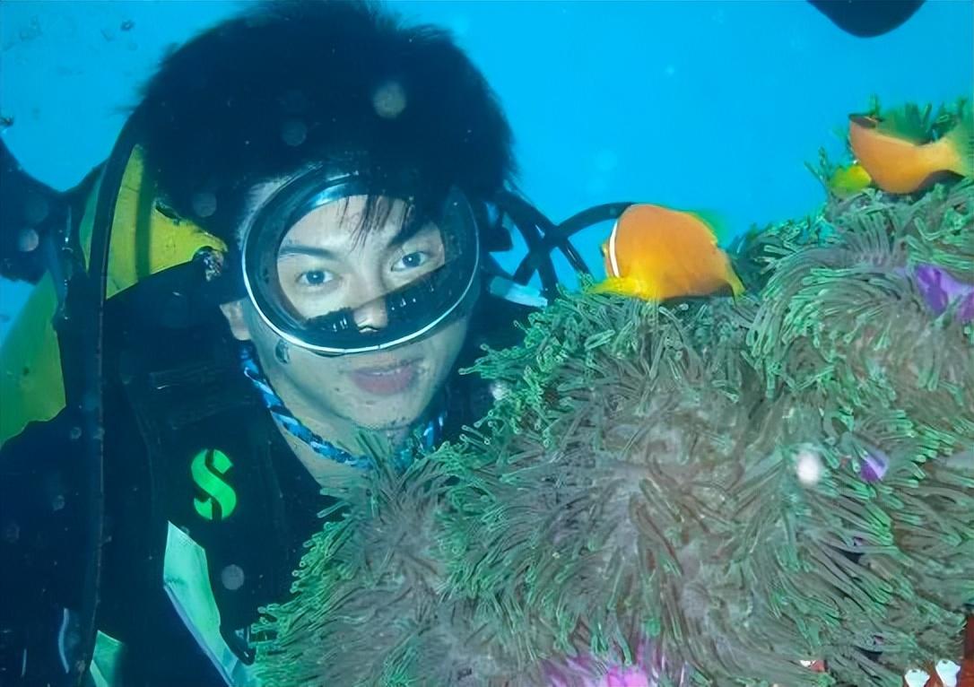 中国最帅的男明星前十名（娱乐圈十大不老男神）