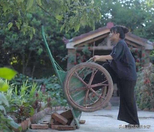 李子柒那样的农家小院怎么设计（李子柒家的房子全景曝光）