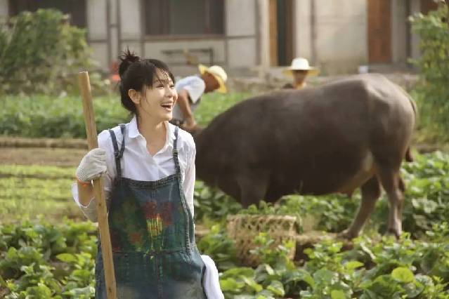 陈升的老婆说过心疼刘若英（陈升老婆俞琦丽资料）