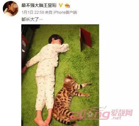 王昱珩前妻张梦圆介绍（最强大脑王昱珩离婚原因揭秘）