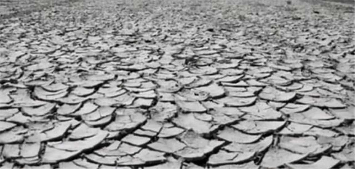 1942河南人吃人图片（揭秘河南大饥荒真实惨状）