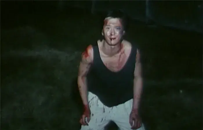 张扬第几代导演（导演张扬的电影作品）