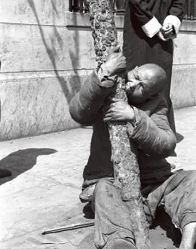 1942河南人吃人图片（揭秘河南大饥荒真实惨状）