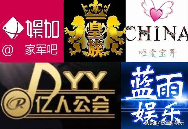 东北宝哥是谁（China宝哥真实身份）