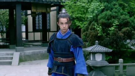 琅琊榜的飞流为什么会叛变（原著琅琊榜的飞流结局）