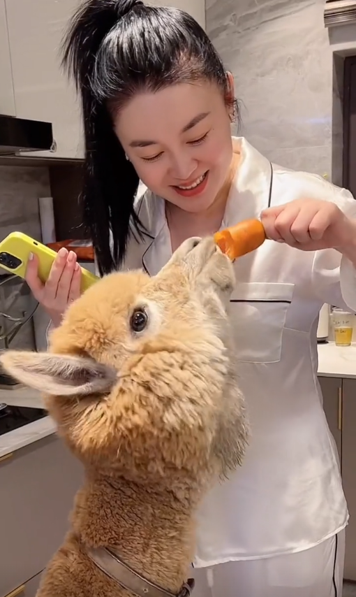 关婷娜的胸多大（演员关婷娜最新状况）