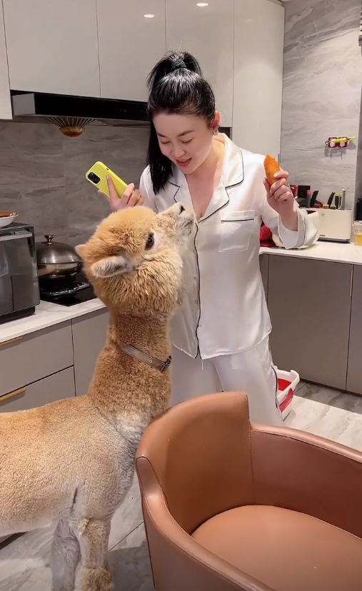 关婷娜的胸多大（演员关婷娜最新状况）