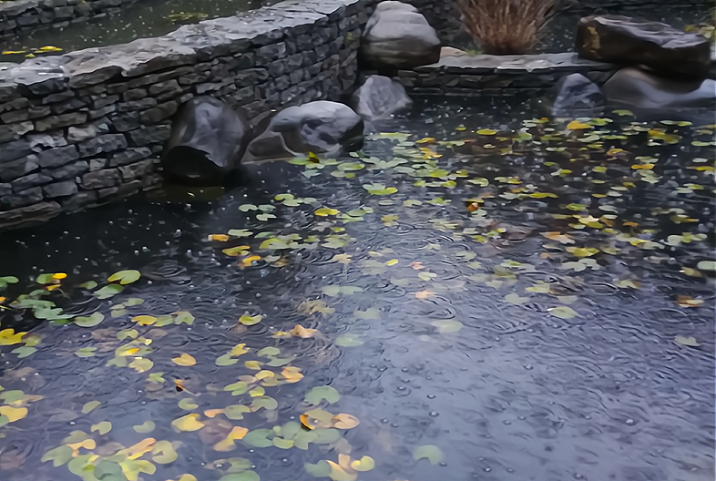 2023年是属什么年（2023癸卯年运势年景分析）