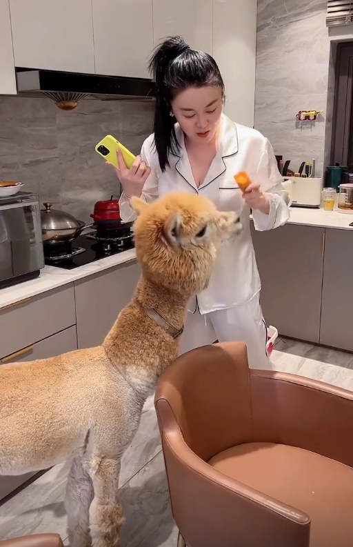 关婷娜的胸多大（演员关婷娜最新状况）