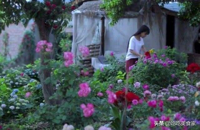 李子柒那样的农家小院怎么设计（李子柒家的房子全景曝光）