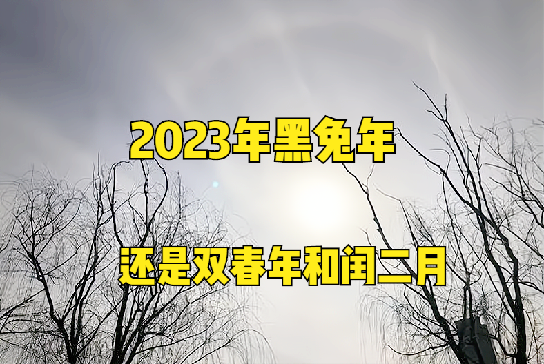 2023年是属什么年（2023癸卯年运势年景分析）