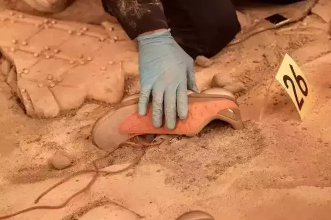 参观兵马俑的感受（陈冠希独自参观兵马俑）