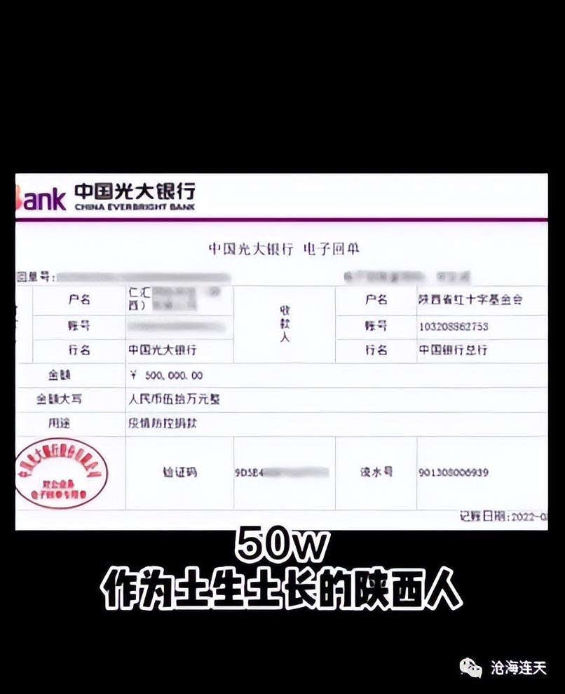 陕西木森个人介绍（正能量主播木森为家乡防疫捐款50W）