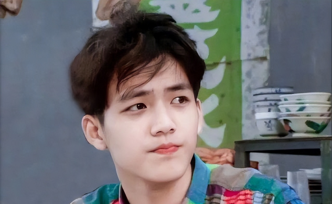 中国最帅的男明星前十名（娱乐圈十大不老男神）