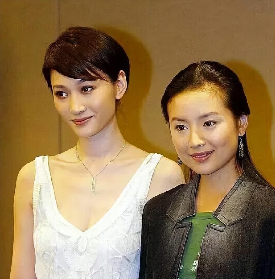 董洁因为什么离的婚（浅解潘粤明与董洁离婚8年）