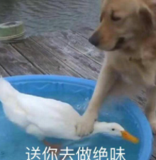 F4是什么时候解散的（港台明星f4组合的四人现状）