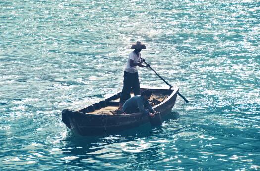 浮城大亨原型黎华安是谁(浮城大亨真实事件原型)