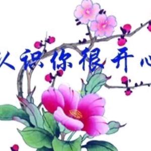 林志玲演过什么电视剧（明星林志玲出演过的影视作品）