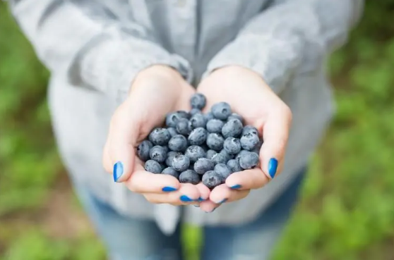 吃蓝莓大便是墨绿色正常吗（吃蓝莓大便是墨绿色会几天消失）