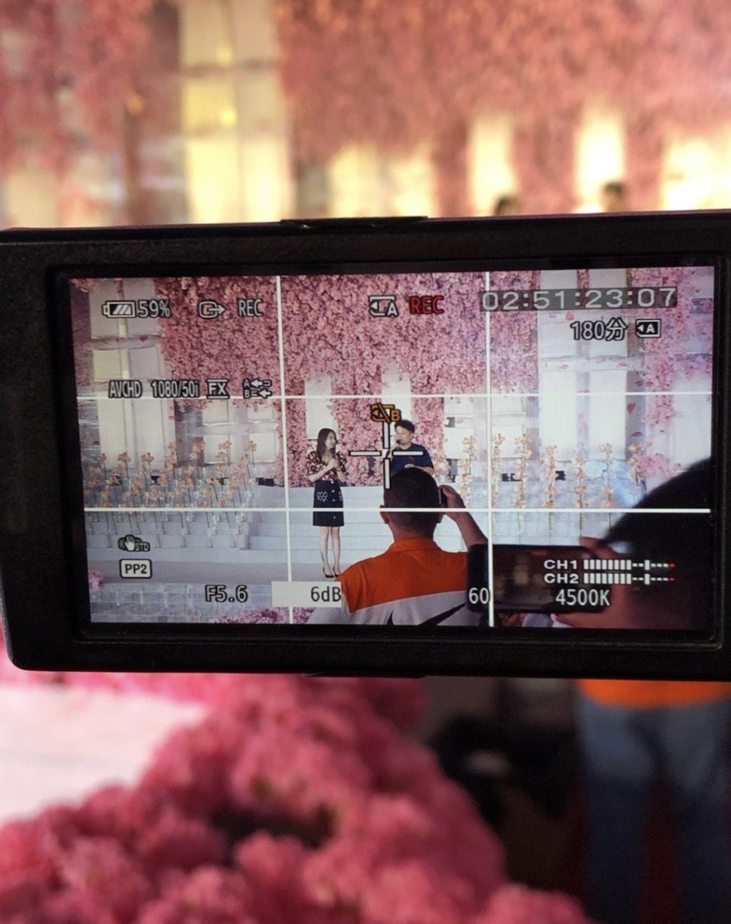 毕福剑什么时候去世的（毕姥爷真正的死因）