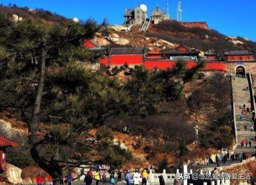 什么叫做泰山童子（不能爬泰山的三种人）