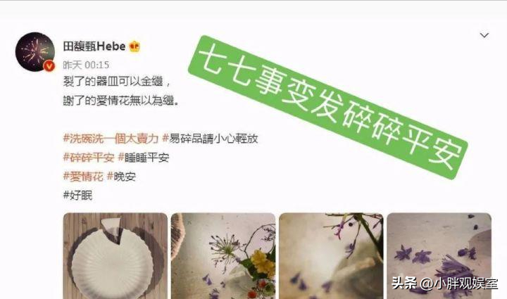 she组合为什么退出了（田馥甄退出SHE组合的原因）