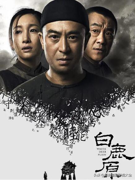 何冰哪几部电视剧好看（盘点何冰十大高分电视剧）