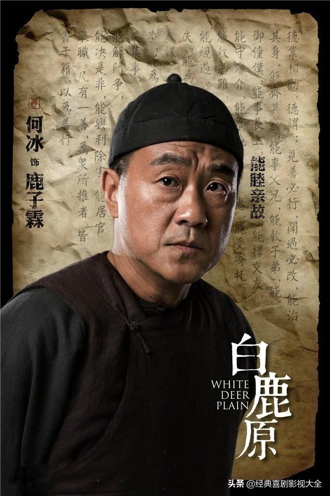 何冰哪几部电视剧最好看（盘点何冰十大高分电视剧）