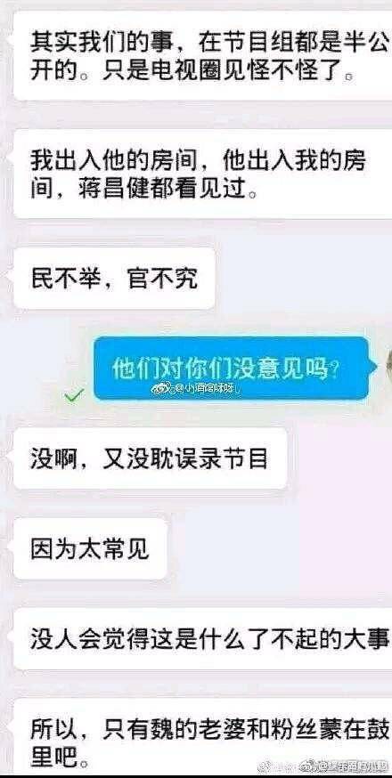 魏坤琳桑洁聊天记录（最强大脑魏坤琳出轨桑小洁事件）