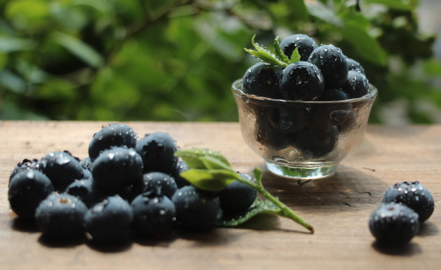 蓝莓放水浮起来的好还是沉下去的好（洗蓝莓为什么有些浮起来）
