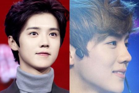 鹿晗七龙吐珠事件是什么意思（揭秘鹿晗七龙吐珠事件内幕）