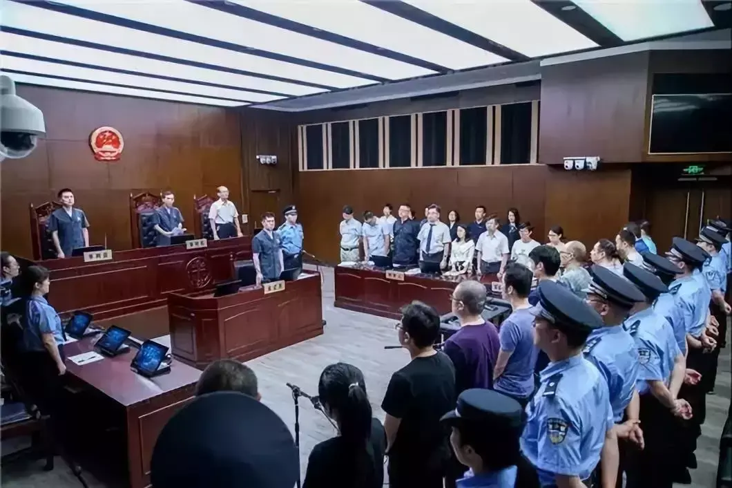 大大集团马申科诈骗65亿元（马申科被判无期徒刑案件）