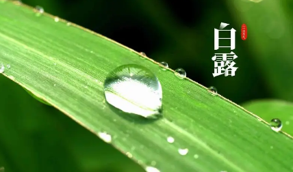 2023白露节气过后天气会凉快吗（2023白露节气过后天气有什么变化）