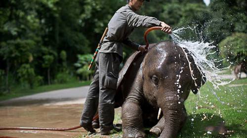 向往的生活第4季在哪里拍摄的（西双版纳向往的生活4取景地）