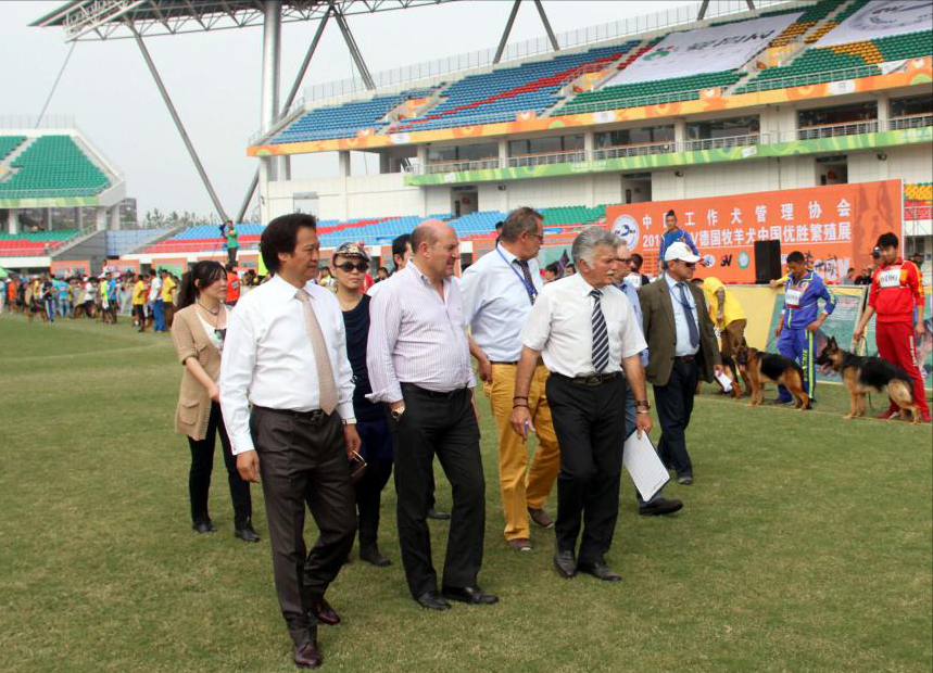 陈金飞为什么和刘亦菲分手（刘亦菲被抛弃陈金飞的原因）