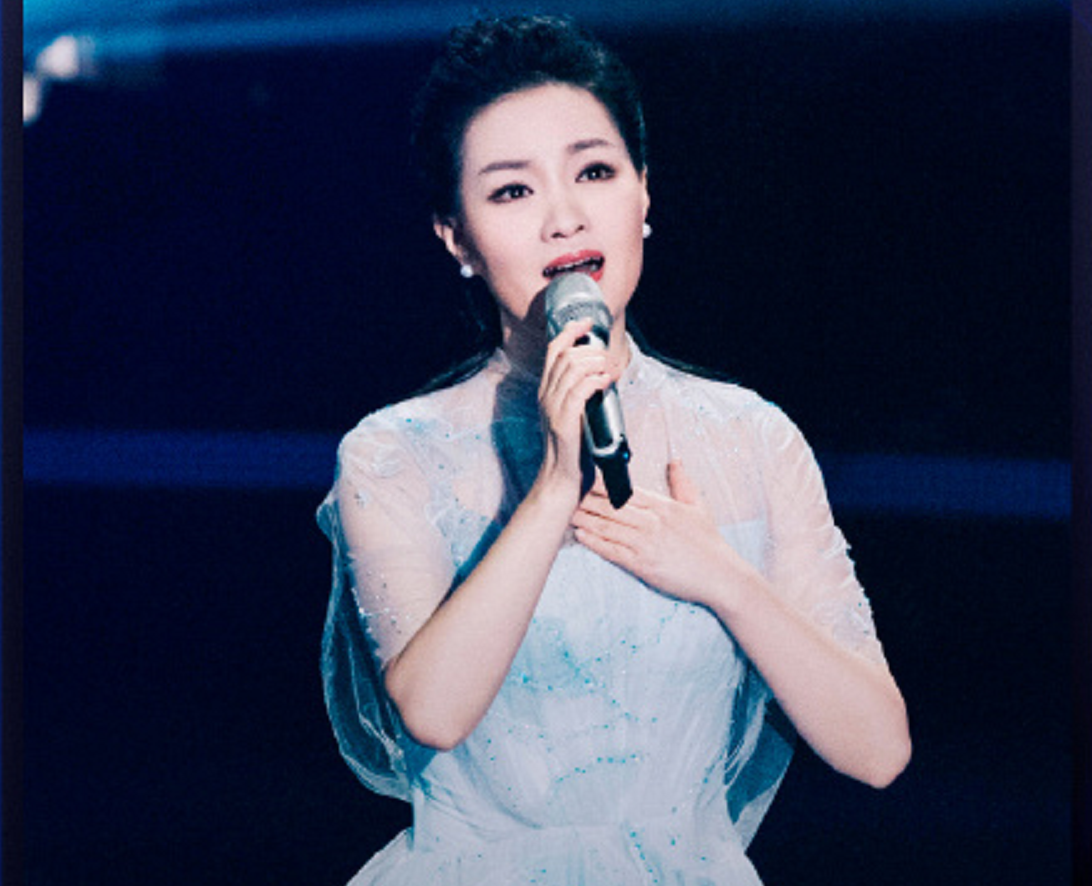 雷佳的老公是干什么的（著名歌唱家雷佳的慈善家丈夫陈正拜）