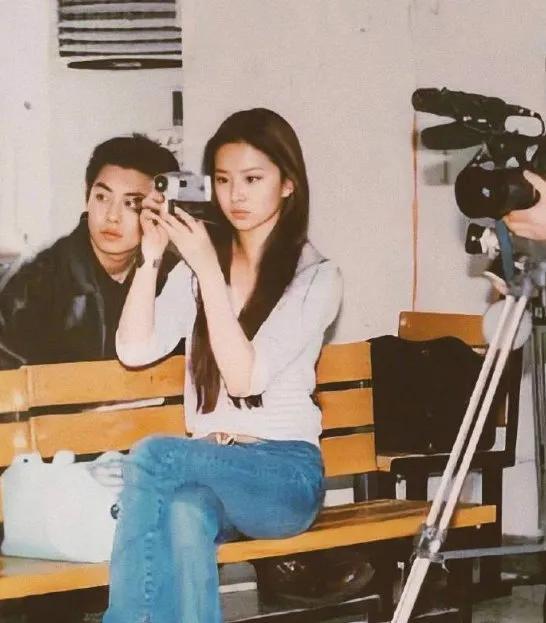 陈金飞为什么和刘亦菲分手（刘亦菲被抛弃陈金飞的原因）