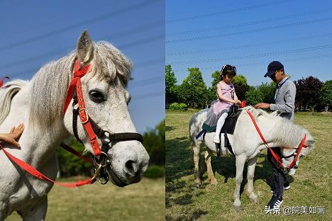 五一带孩子去哪儿旅游比较好（带5个月宝宝旅游攻略）