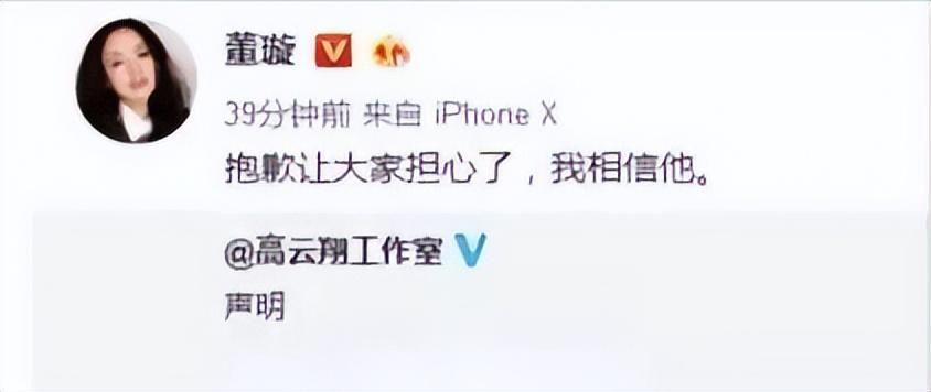 高云翔董璇为什么离的婚（董璇和高云翔的感情经历）