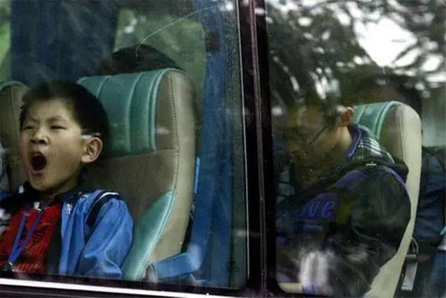 天才苏刘溢现在怎么样了（天才神童陈文杰现状）