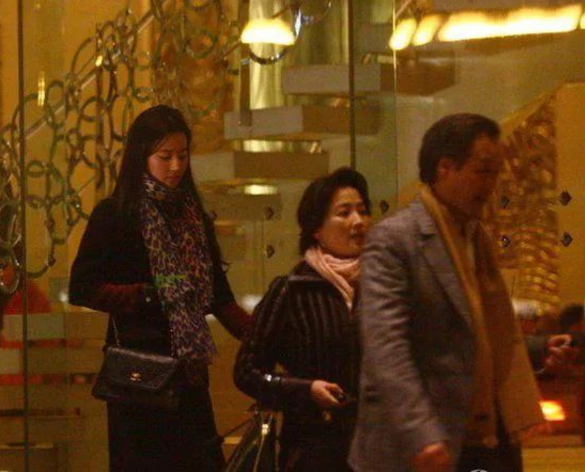 陈金飞为什么和刘亦菲分手（刘亦菲被抛弃陈金飞的原因）