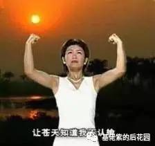 gv是什么意思网络(正经聊聊日本钙片的那些事) gv是什么意思网络(正经聊聊日本钙片的那些事)
