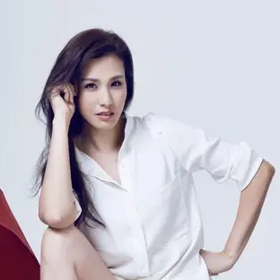 王婉霏车展不穿内裤（刘耕宏妻子王婉霏介绍）