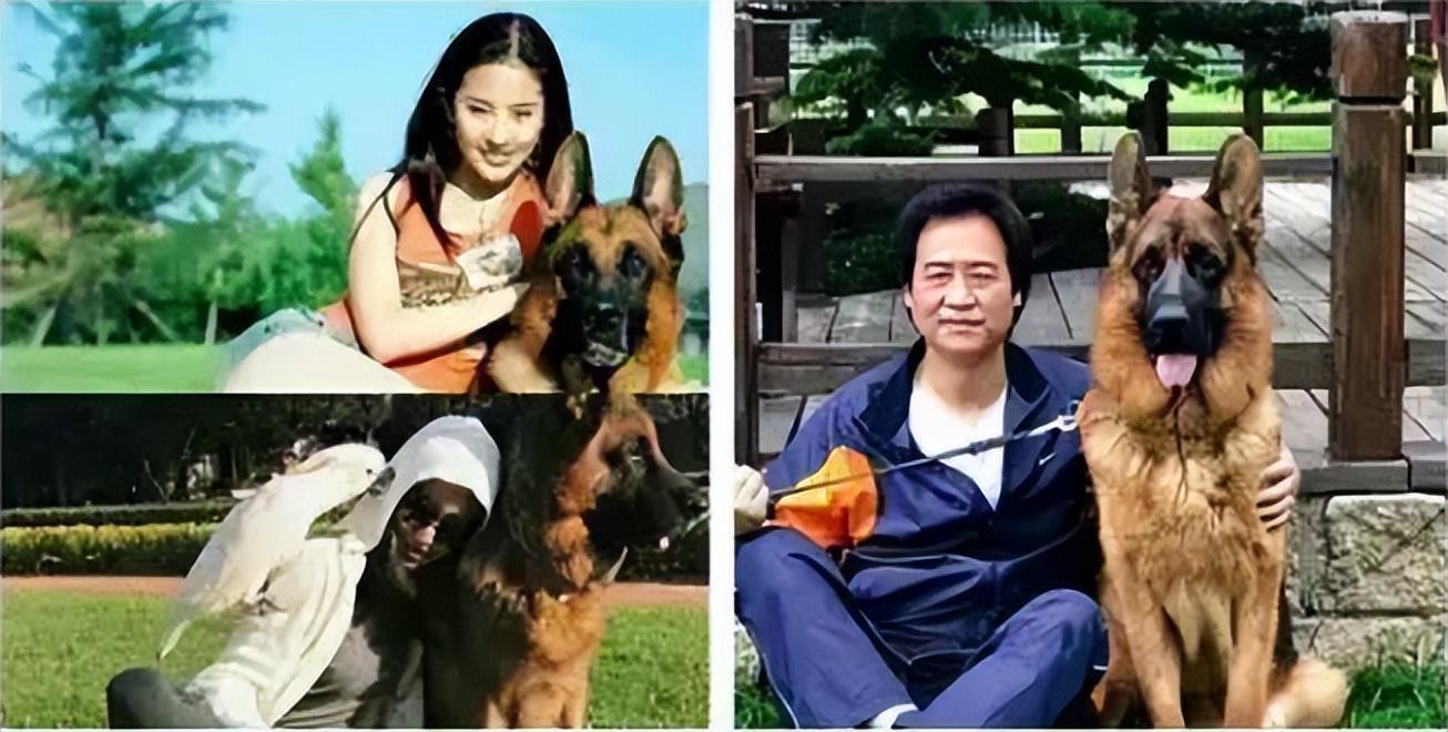 陈金飞为什么和刘亦菲分手（刘亦菲被抛弃陈金飞的原因）