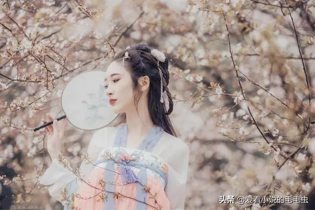 文笔非常好的肉文（6本高质量荤爽小说盘点）